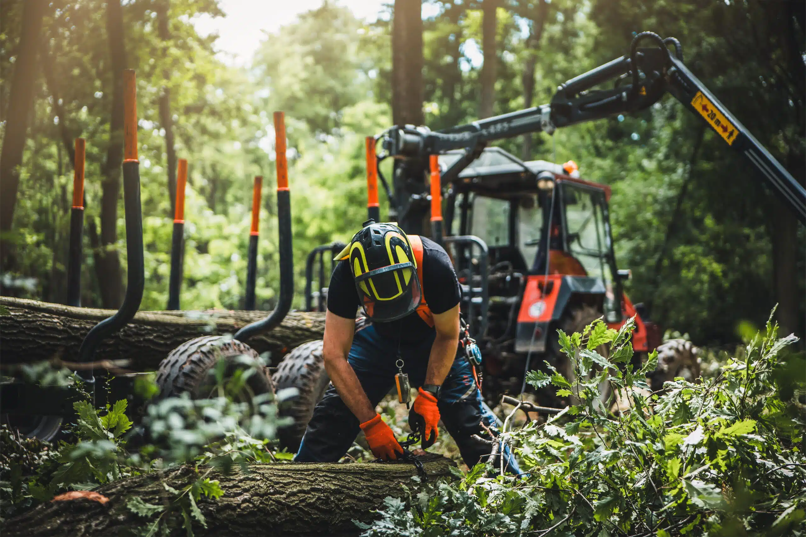 Mobile Forestry - Oilgear